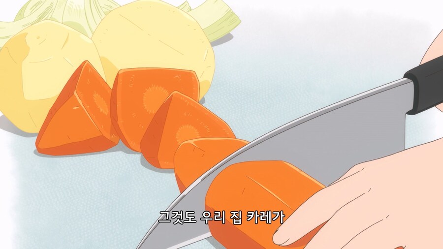 일본 교토의 환락가에서 카레를 만들지 않는 이유_2.jpg