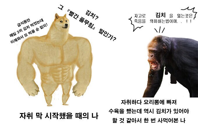 자취 전후 김치.jpg_1.png
