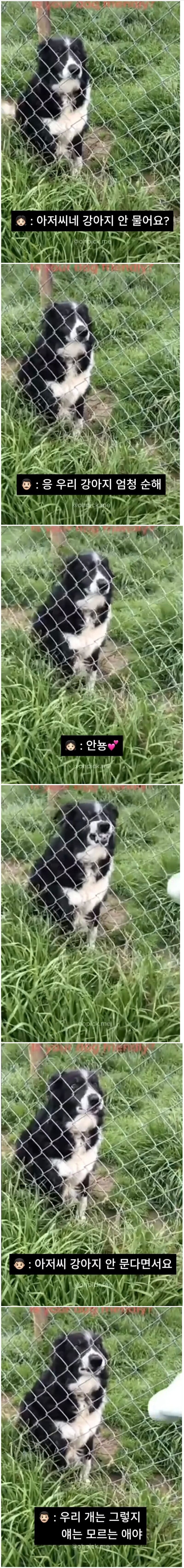 자기집 개는 물지 않는다는 아저씨_1.jpg