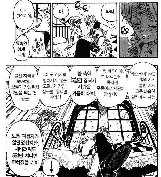 원피스 비비가 일행들에게 동료로 인정받게 된 순간_19.jpg