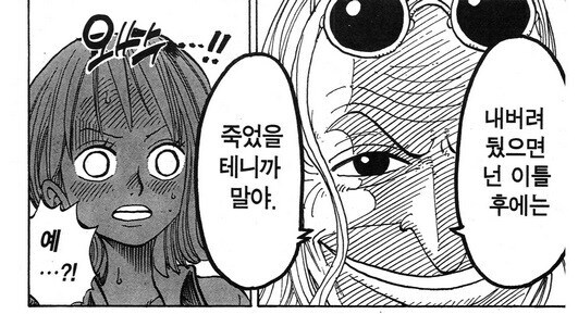 원피스 비비가 일행들에게 동료로 인정받게 된 순간_20.jpg