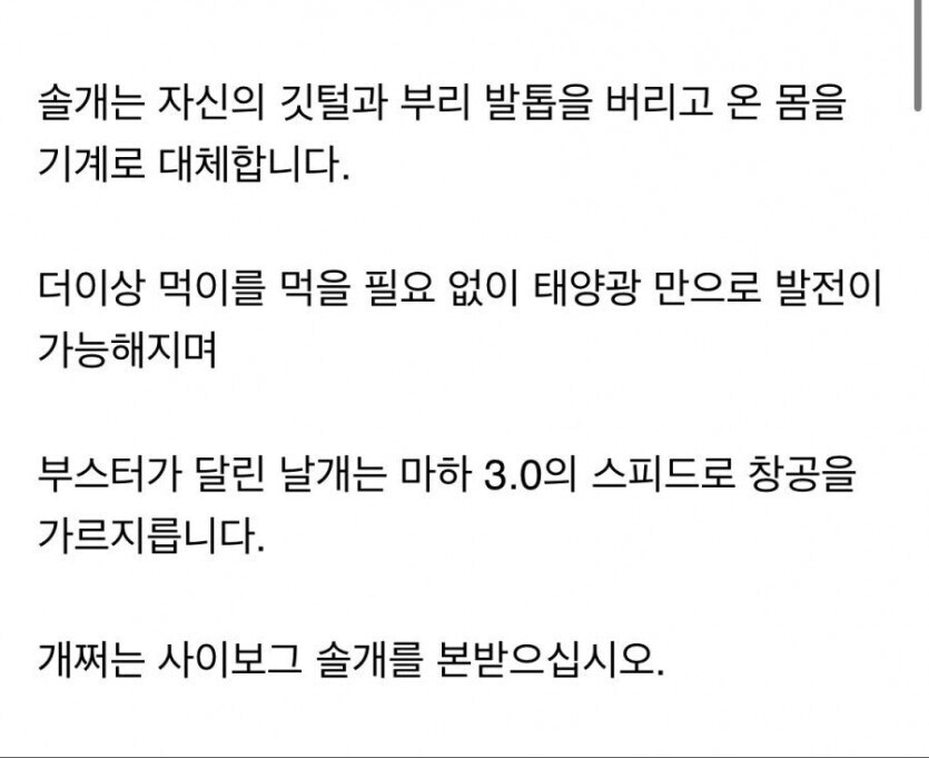 40살이 된 솔개의 선택_3.jpg