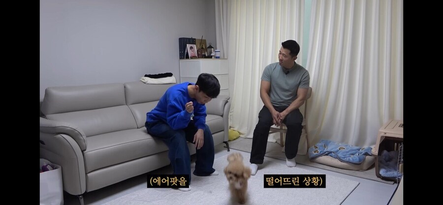 강형욱도 현타 올 정도의 실용적인 애견 훈련.jpg_5.jpg