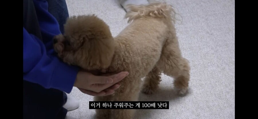 강형욱도 현타 올 정도의 실용적인 애견 훈련.jpg_12.jpg