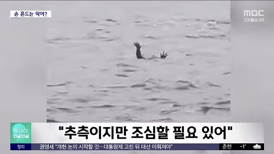 잉간을 잡아먹기 위한 사냥법을 학습한 악어_5.jpg