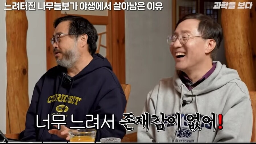 나무늘보가 멸종되지 않은 이유.jpg_2.jpg