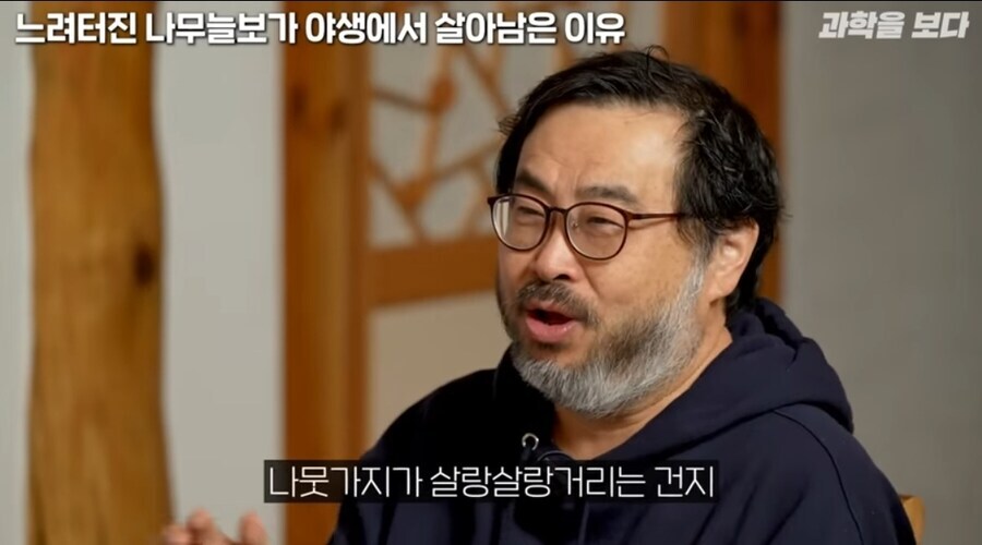 나무늘보가 멸종되지 않은 이유.jpg_5.jpg