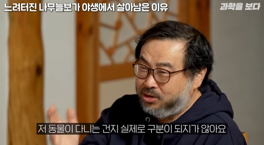 나무늘보가 멸종되지 않은 이유.jpg_6.jpg