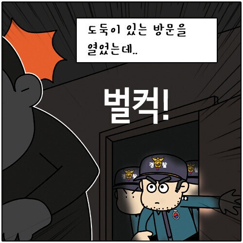 집에 도둑이 들어 경찰에 신고한 결과_5.jpg