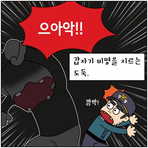 집에 도둑이 들어 경찰에 신고한 결과_6.jpg