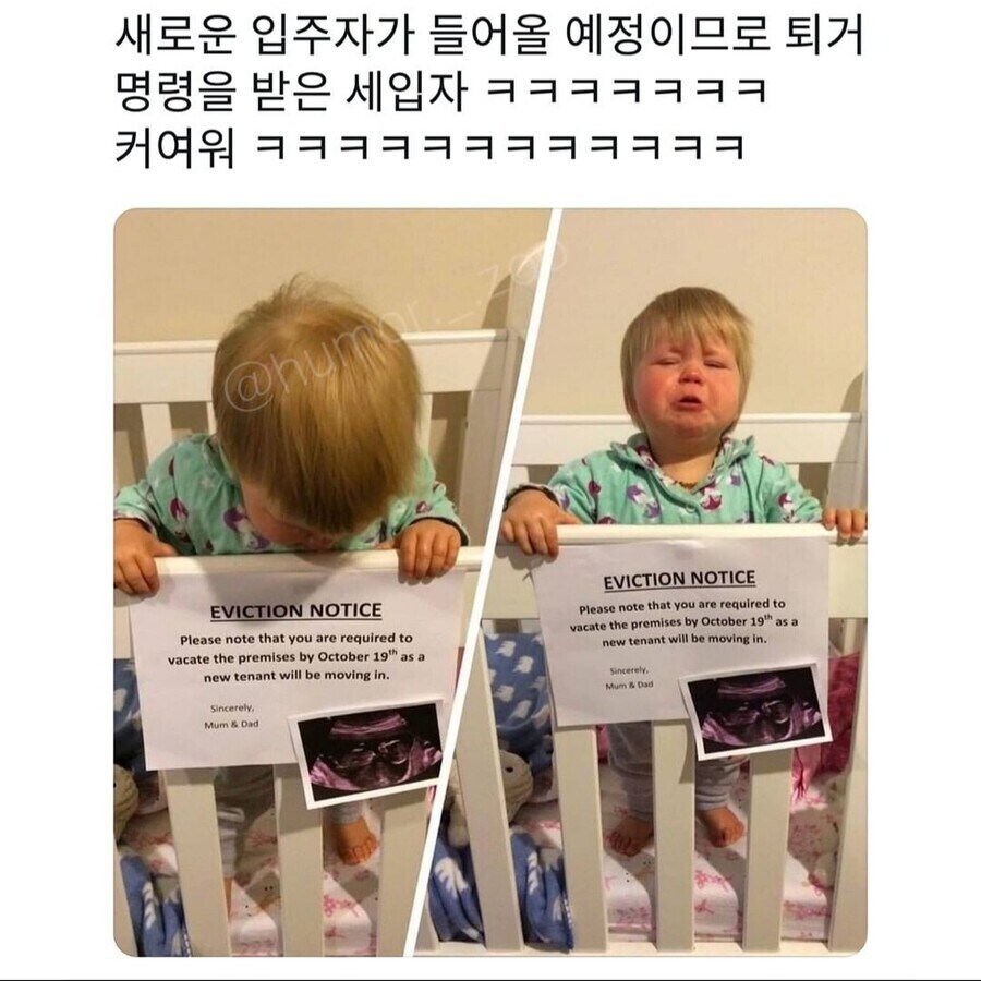 집주인에게 쫒겨날 위기에 처한 세입자들_1.jpg