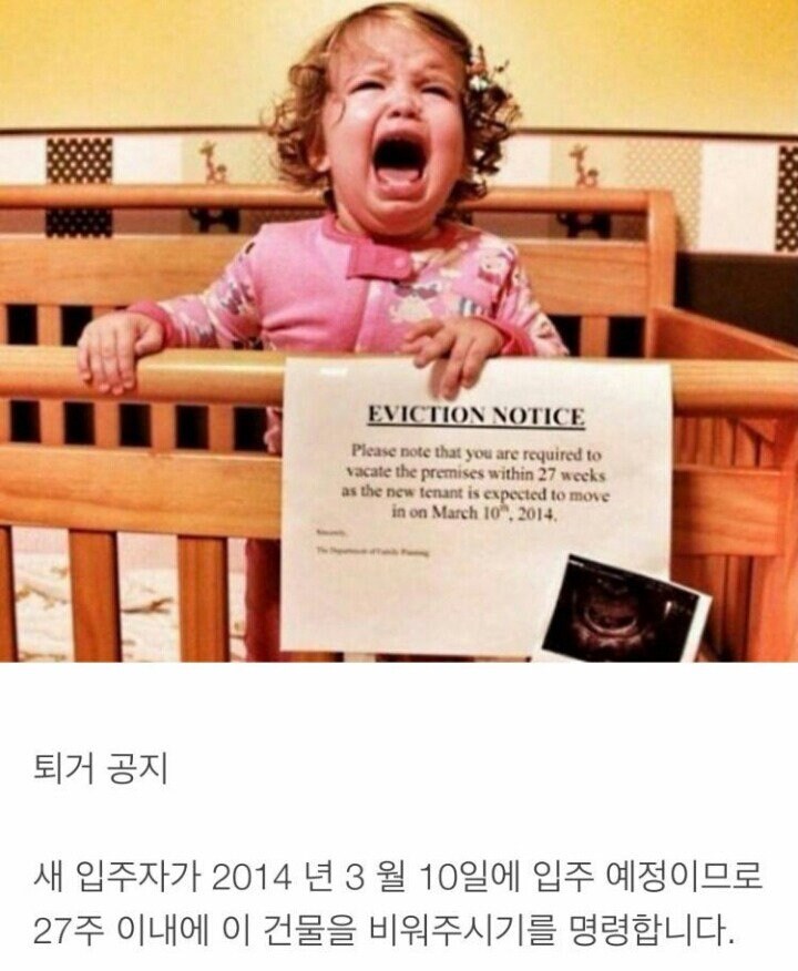 집주인에게 쫒겨날 위기에 처한 세입자들_2.jpg