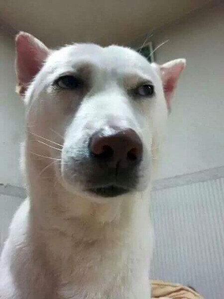 옆집 아줌마 집에 컴퓨터 가르쳐주러 간다_3.jpg