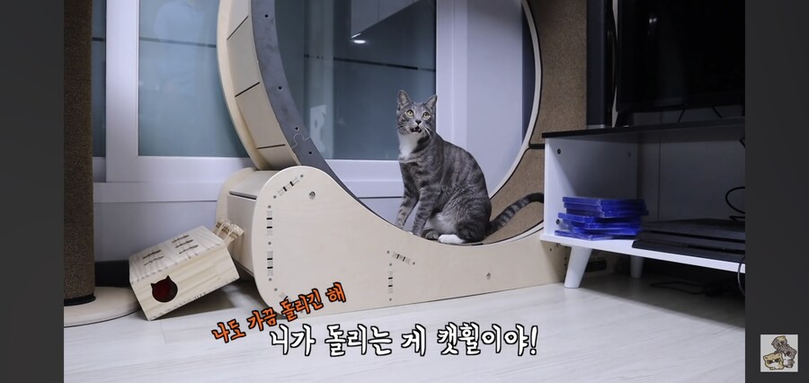 캣휠로 운동하는 남자_3.jpg