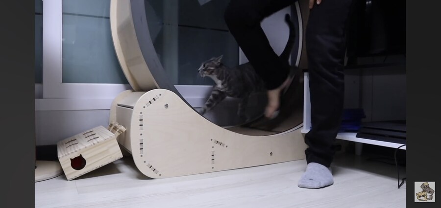 캣휠로 운동하는 남자_5.jpg