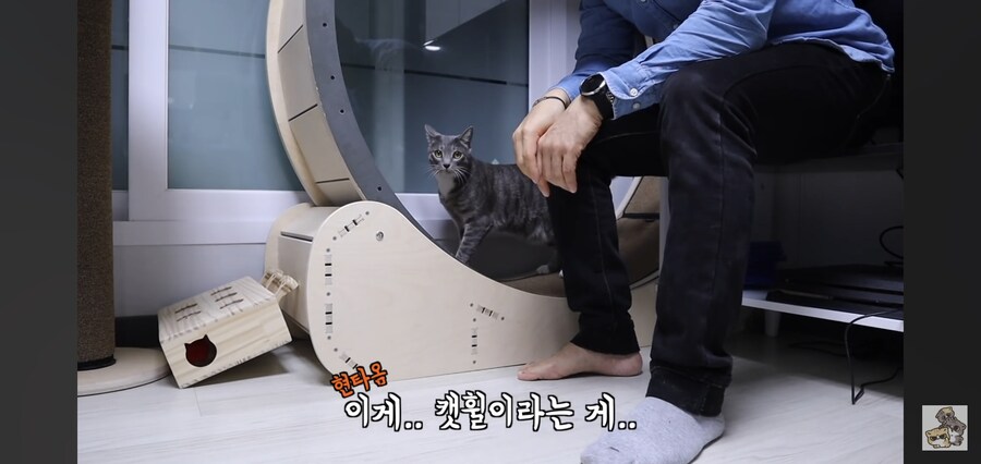 캣휠로 운동하는 남자_6.jpg