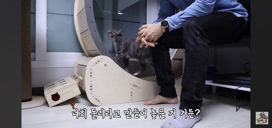 캣휠로 운동하는 남자_7.jpg