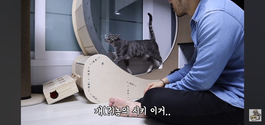 캣휠로 운동하는 남자_9.jpg