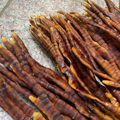 가끔 영지버섯 먹고 죽는 사람이 나오는 이유_4.jpg