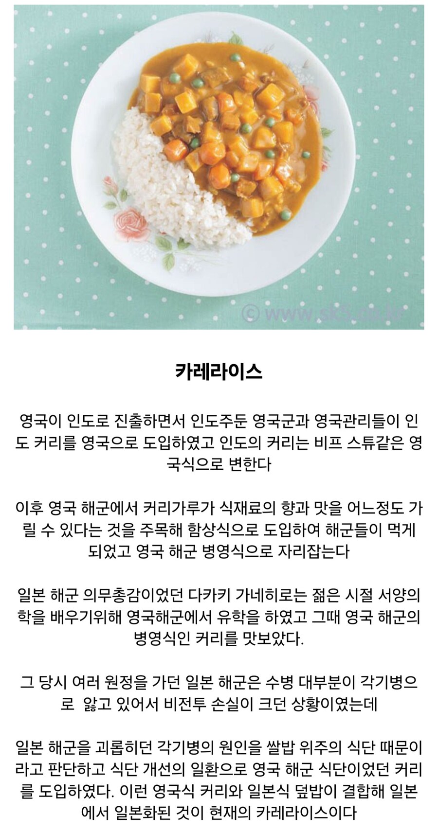 전쟁이 만들어낸 음식들.jpg_5.jpg