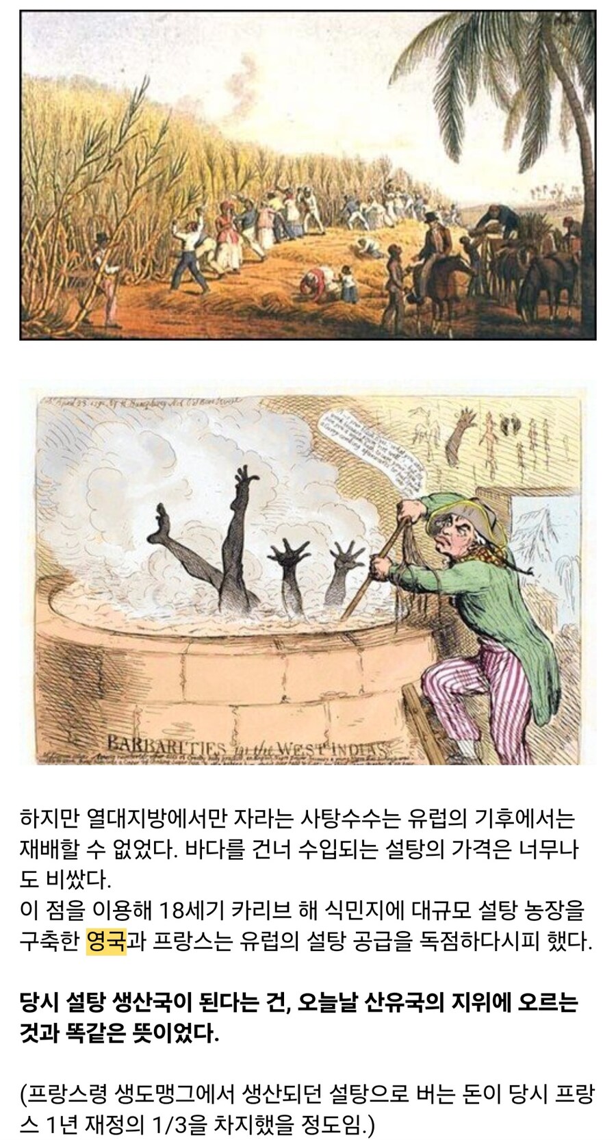 인류에게 설탕을 마음껏 먹을 수 있게 해준 과학자 이야기_2.jpg