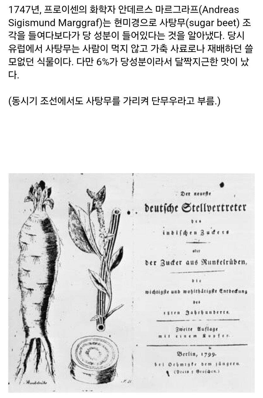 인류에게 설탕을 마음껏 먹을 수 있게 해준 과학자 이야기_4.jpg