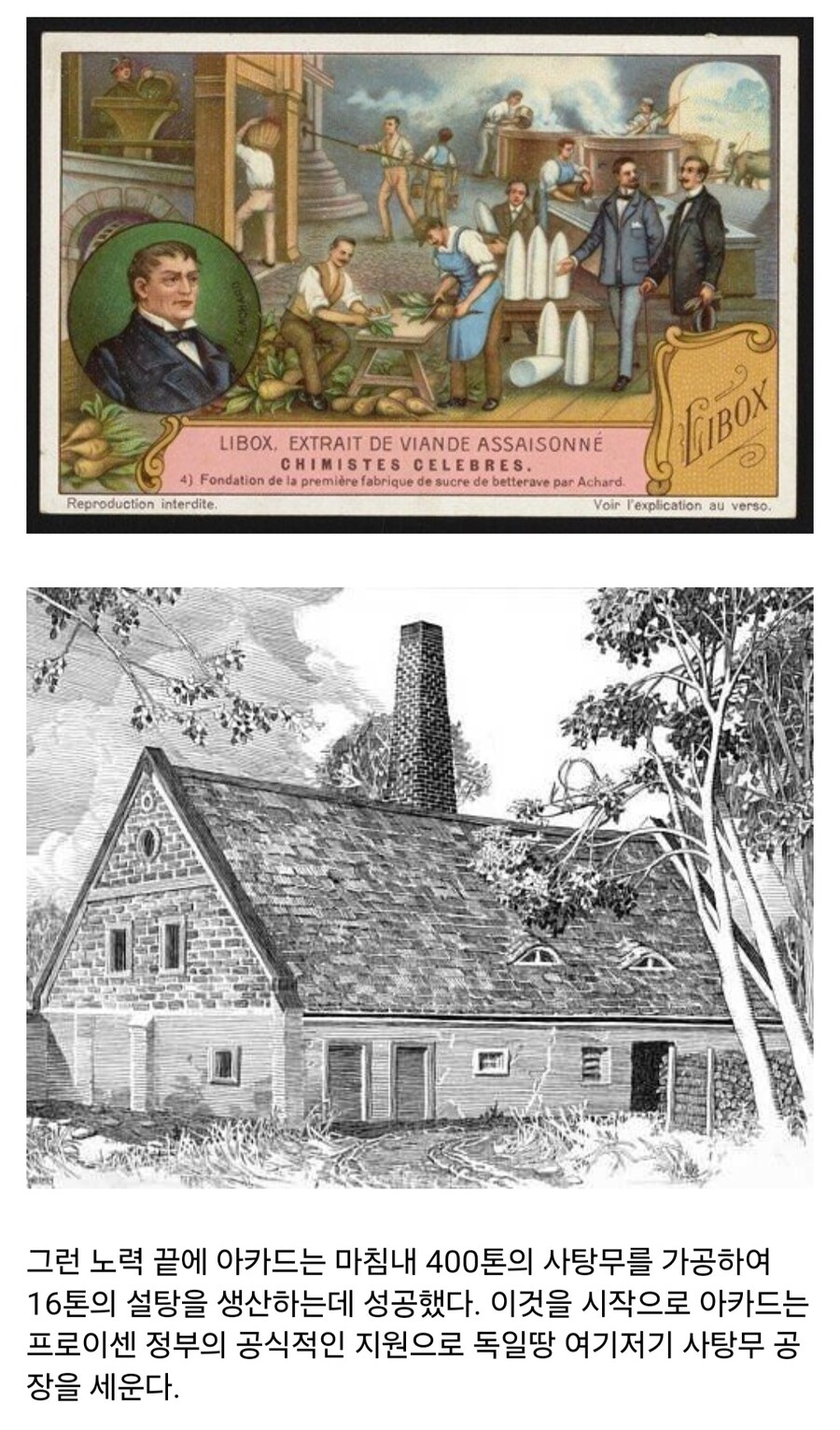 인류에게 설탕을 마음껏 먹을 수 있게 해준 과학자 이야기_7.jpg