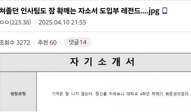 인사팀이 환장 한다는 자기소개서 도입부 레전드_1.jpg