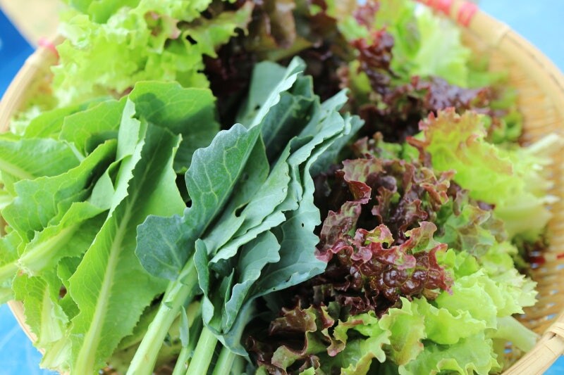 근 수준ㅋㅋㅋㅋㅋ_2.jpg