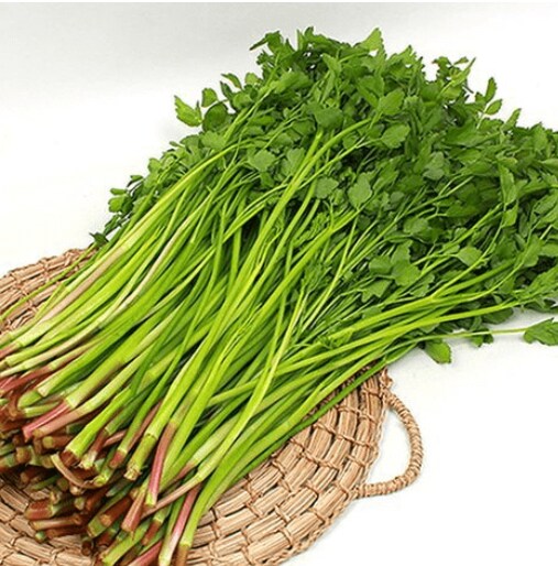 근 수준ㅋㅋㅋㅋㅋ_4.png