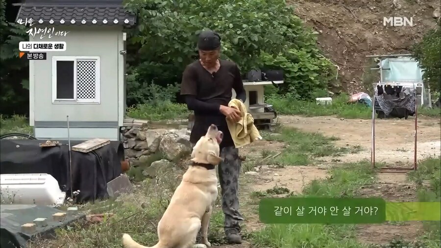 무례한 방송 출연자.jpg_9.png