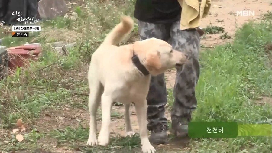 무례한 방송 출연자.jpg_11.png