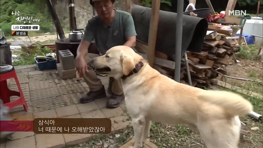 무례한 방송 출연자.jpg_19.png