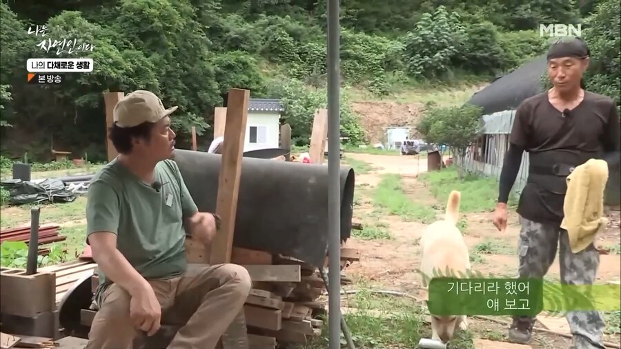 무례한 방송 출연자.jpg_15.png