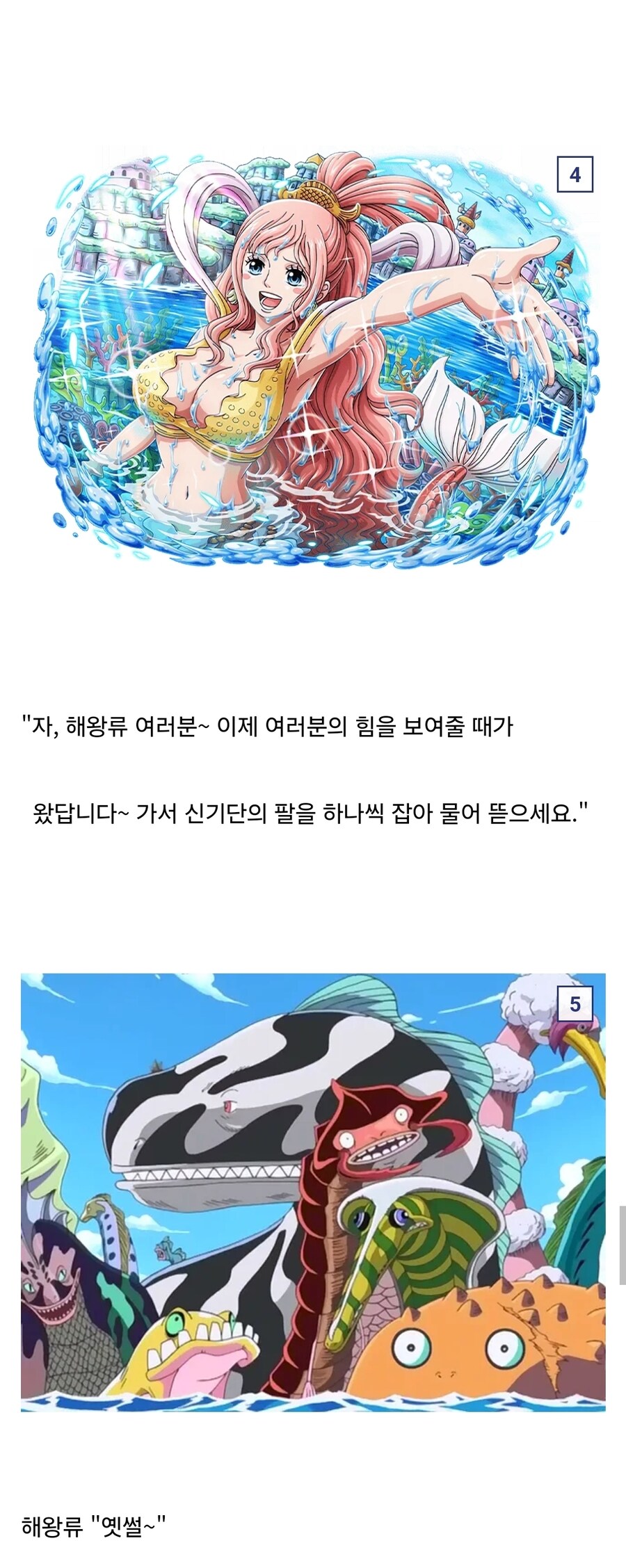 원피스 시라호시가 고대병기 포세이돈인 이유_3.jpg
