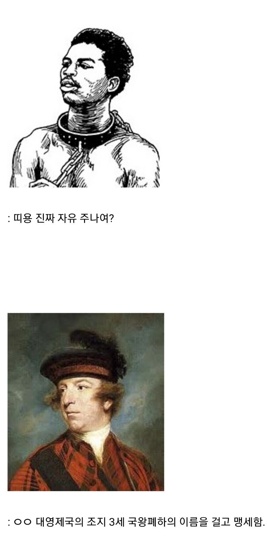 영국이 자기들을 도와준 흑인 노예들에게 맹세한 약속.jpg_4.jpg