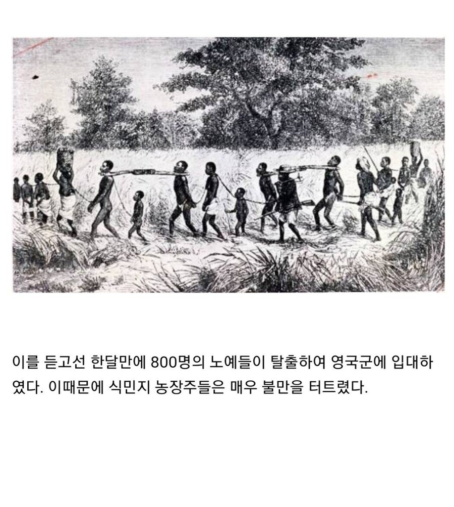 영국이 자기들을 도와준 흑인 노예들에게 맹세한 약속.jpg_5.jpg