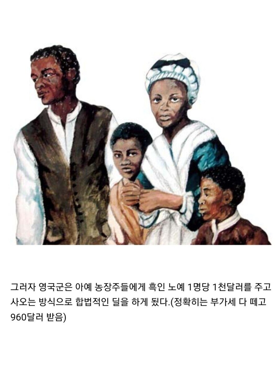 영국이 자기들을 도와준 흑인 노예들에게 맹세한 약속.jpg_8.jpg