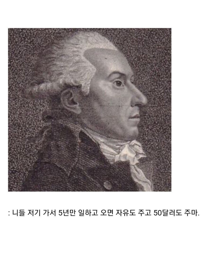 영국이 자기들을 도와준 흑인 노예들에게 맹세한 약속.jpg_9.jpg