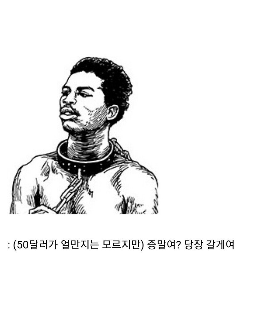 영국이 자기들을 도와준 흑인 노예들에게 맹세한 약속.jpg_10.jpg