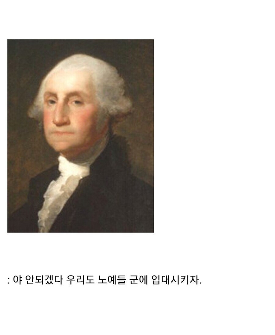 영국이 자기들을 도와준 흑인 노예들에게 맹세한 약속.jpg_12.jpg