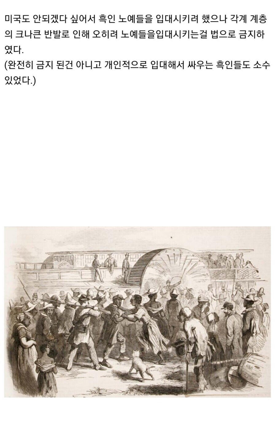 영국이 자기들을 도와준 흑인 노예들에게 맹세한 약속.jpg_15.jpg