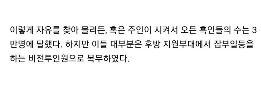 영국이 자기들을 도와준 흑인 노예들에게 맹세한 약속.jpg_16.jpg