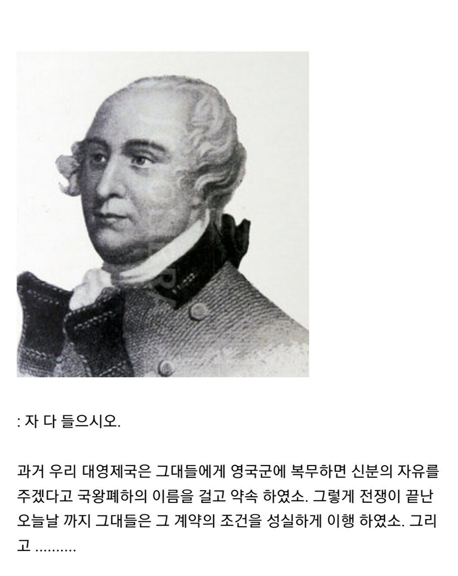 영국이 자기들을 도와준 흑인 노예들에게 맹세한 약속.jpg_28.jpg