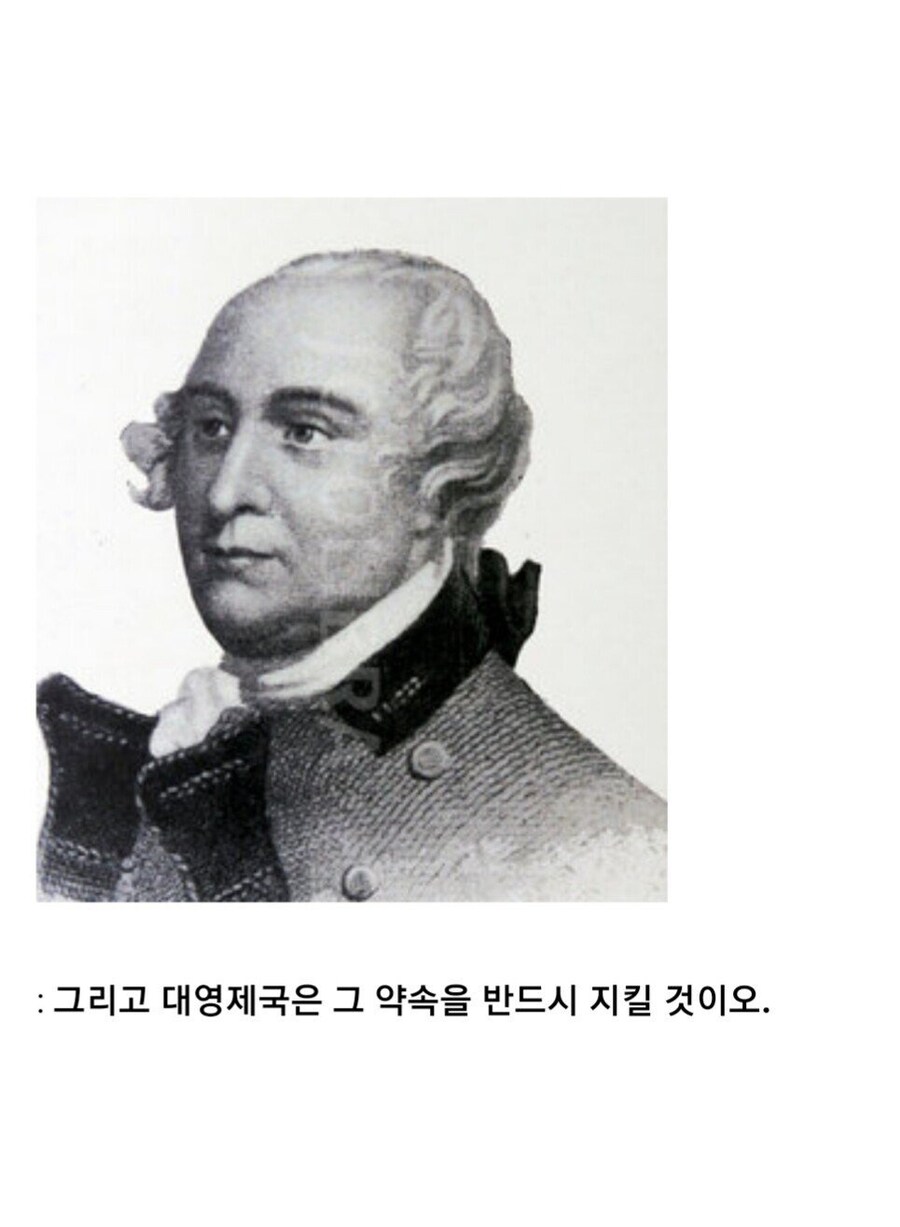 영국이 자기들을 도와준 흑인 노예들에게 맹세한 약속.jpg_30.jpg