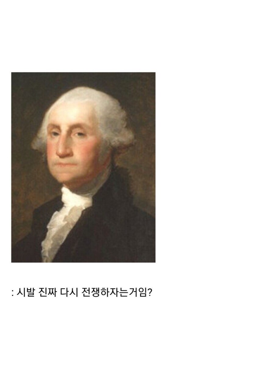 영국이 자기들을 도와준 흑인 노예들에게 맹세한 약속.jpg_37.jpg