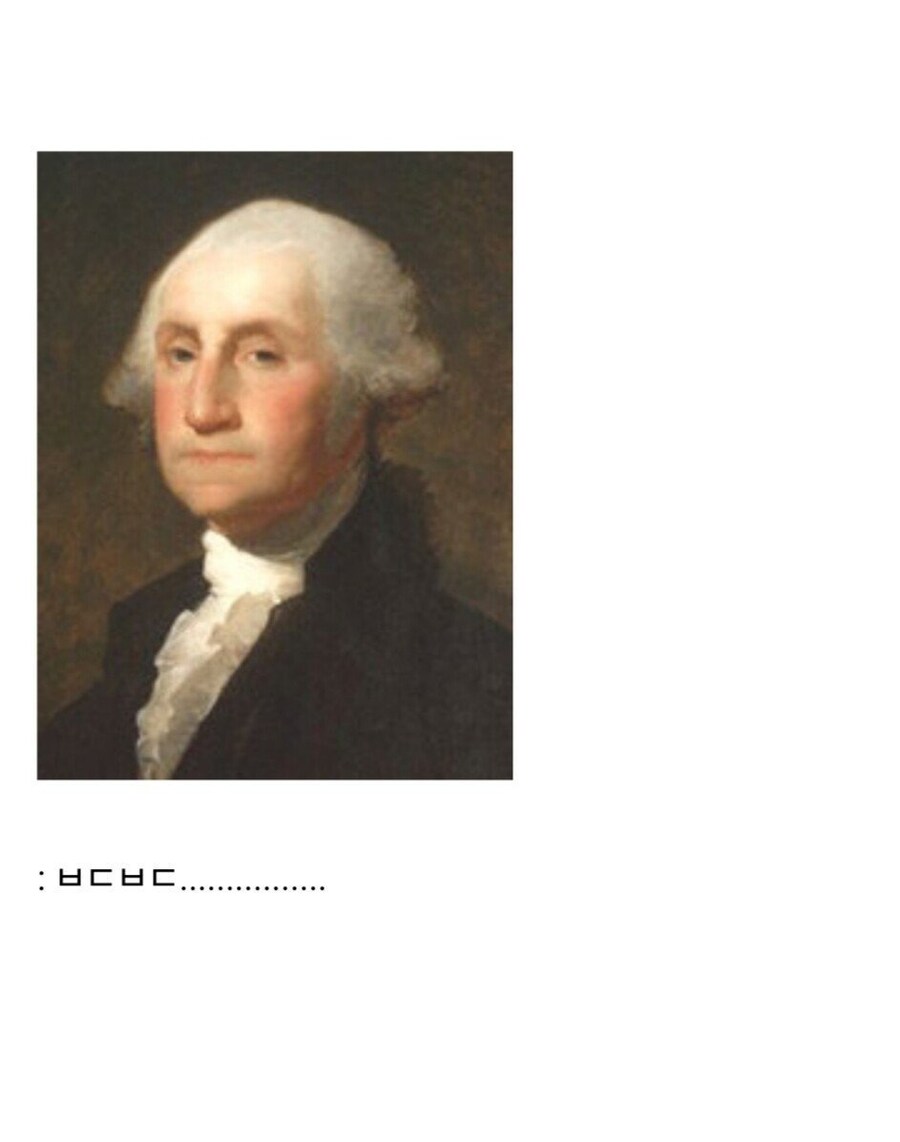 영국이 자기들을 도와준 흑인 노예들에게 맹세한 약속.jpg_39.jpg