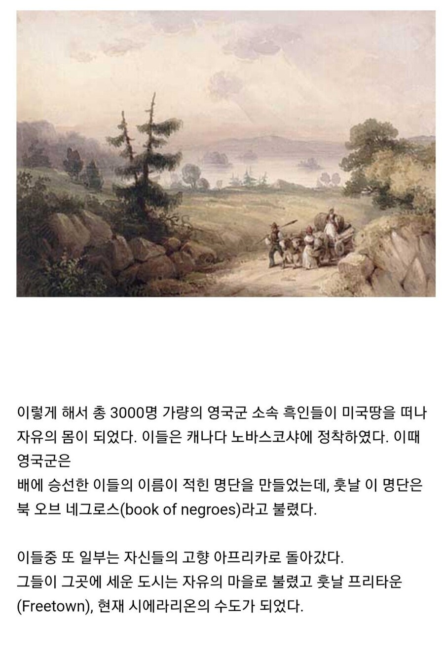 영국이 자기들을 도와준 흑인 노예들에게 맹세한 약속.jpg_41.jpg
