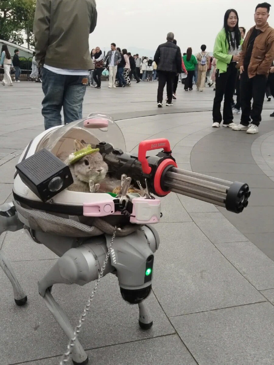 토끼와 개가 같이 산책하는 모습_1.jpg