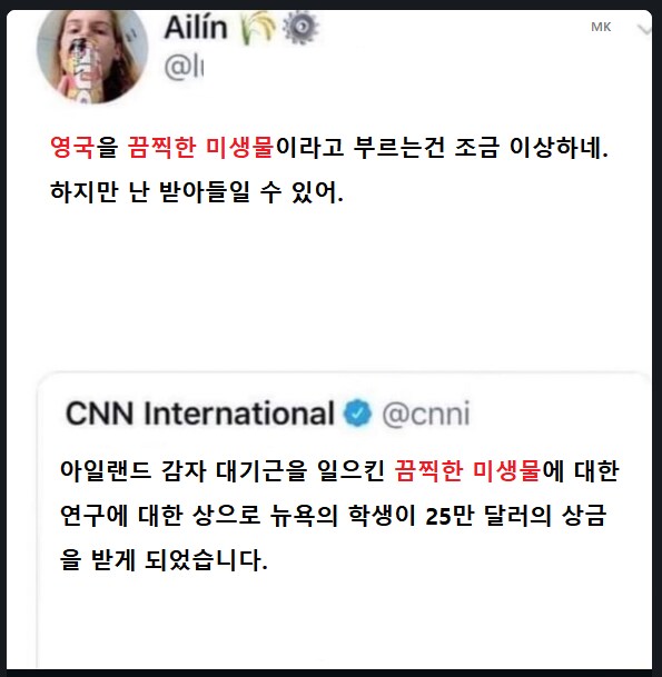 아일랜드 음식이 양 많은이유.jpg_3.png